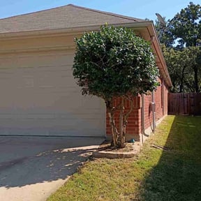 Bush Trimming by Chopp&#039;em Up Lawn Care reviewed on November 9, 2025