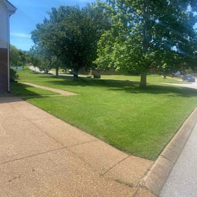 landscaping services by MARTÍN CRUZ LANDSCAPING reviewed on August 16, 2025
