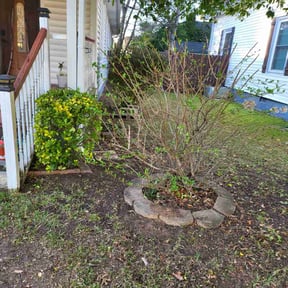 Bush Trimming by USA Lawncare Inc reviewed on April 26, 2026