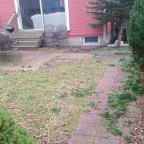 Bush Trimming by 19 Property Landscaping reviewed on August 17, 2025