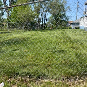 landscape maintenance by D&k Taylor lawn care reviewed on August 17, 2025