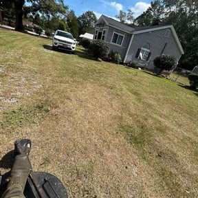 Bush Trimming by Bean Sprout Lawn Service LLC reviewed on October 20, 2025