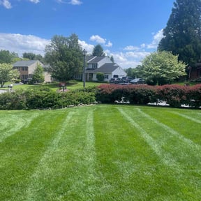 yard maintenance by M&amp;N lawncare reviewed on November 23, 2025