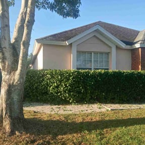 Bush Trimming by ABC Landscaping Group reviewed on August 19, 2025