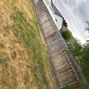 Flower Bed Weeding by Taylor’d Lawn Experience reviewed on June 4, 2026