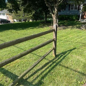 lawn service by TNL LANDSCAPING reviewed on October 4, 2024