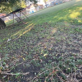 Leaf Removal by Kings Lawn Care reviewed on September 13, 2025