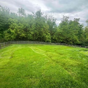 grass maintenance by First Choice Landscaping of St Augustine reviewed on August 21, 2025