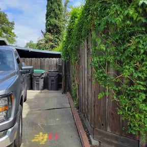 Bush Trimming by Superior Landscape & Maintenance, Inc. reviewed on August 17, 2025