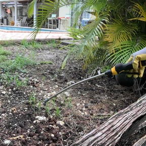 Flower Bed Weeding by Clear Sky Property Services reviewed on September 16, 2026