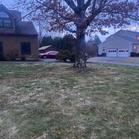 Leaf Removal by Mauler Mowing LLC reviewed on August 15, 2025
