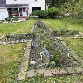Flower Bed Weeding by Quality and affordable lawn care service reviewed on May 22, 2026