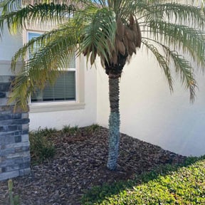 Bush Trimming by Underwood Outdoors reviewed on August 15, 2025