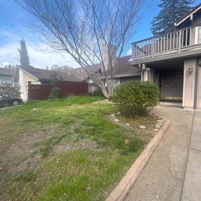 Bush Trimming by Tony's lawn services/Plowing reviewed on August 20, 2025