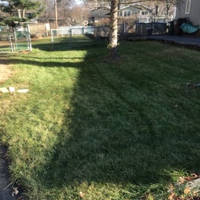 Leaf Removal by Green&#039;s   lawn care reviewed on September 23, 2025