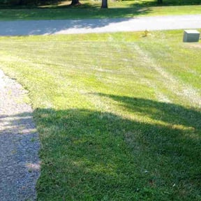grass maintenance by Raincrow Landscape and Mowing reviewed on March 21, 2024