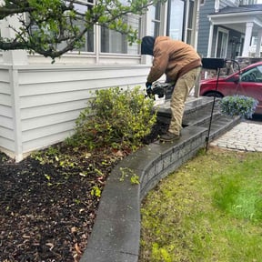 Bush Trimming by Graham's Lawn Care & Landscaping Services reviewed on August 17, 2025