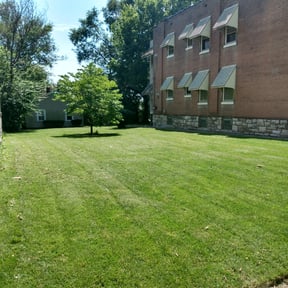 Bush Trimming by Whitehorse Lawn care reviewed on August 17, 2025