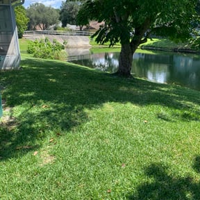 grass cutting by Marvel Carmichael reviewed on August 21, 2025