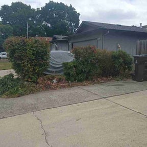 Bush Trimming by Frsty’s Lawncare reviewed on May 29, 2026