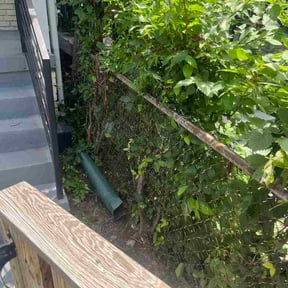Bush Trimming by MGO Investments, LLC reviewed on August 1, 2026