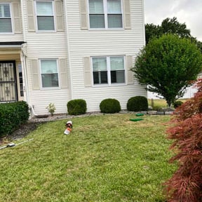 Bush Trimming by Phillips lawncare reviewed on August 18, 2025