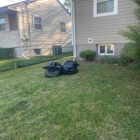 turf care by USA Lawncare Inc reviewed on May 14, 2023