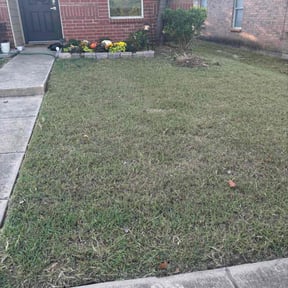 Bush Trimming by JPS Lawn Care Services reviewed on November 9, 2025