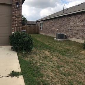 Bush Trimming by Blades Lawn Care Services reviewed on August 18, 2025