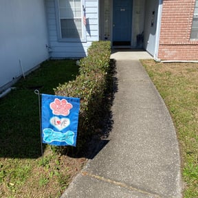 Bush Trimming by Krahns Lawn Services reviewed on August 21, 2025