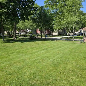 landscaping by Clean Cut Lawn Care reviewed on August 16, 2025