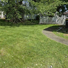 yard work by Alfaro’s Lawncare reviewed on August 20, 2025