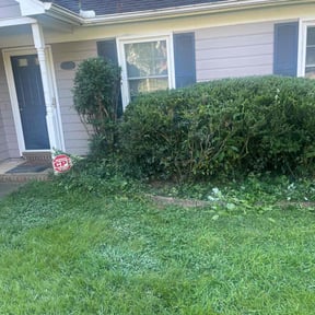 Bush Trimming by Dapper Landscapes reviewed on November 18, 2025