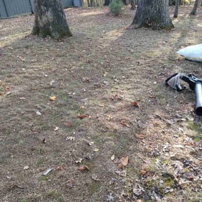 Leaf Removal by Sebastian&#039;s concrete and landscaping  reviewed on November 9, 2025