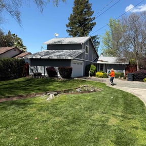 Other by Green's lawn care reviewed on August 18, 2025