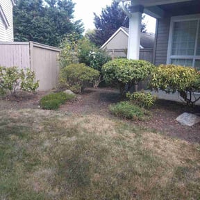 Bush Trimming by Dapper Landscapes reviewed on December 2, 2025