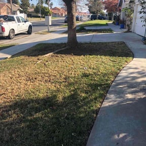 Leaf Removal by RWB Lawn Care reviewed on September 18, 2025