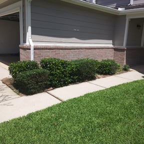 Bush Trimming by Lagos unlimited service reviewed on August 18, 2025