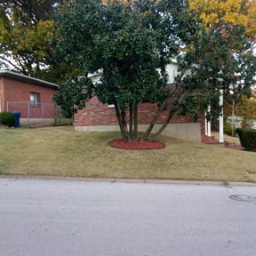 Leaf Removal by Triple E Landscape reviewed on September 25, 2025