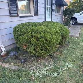 lawn care by Harvey Handy &amp; Lawn reviewed on May 20, 2025