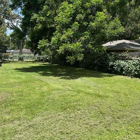 yard maintenance by Juan Rodriguez reviewed on August 21, 2025