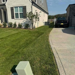 yard care by Bad Daddy Lawns reviewed on August 18, 2025