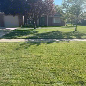 lawn service by We do it better reviewed on April 3, 2024