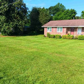 Long Grass Cleanup by R & Y lawn services reviewed on August 18, 2025