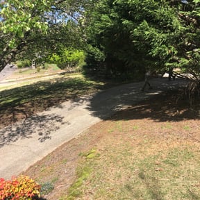 Leaf Removal by The Crew Lawn Care reviewed on September 9, 2025