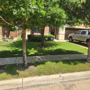 yard work by Gary Guzman reviewed on August 19, 2025