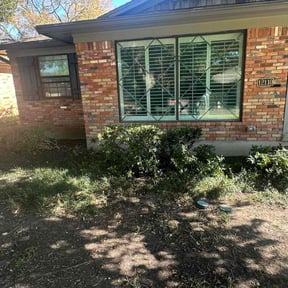 Bush Trimming by Burks Family Lawn Care reviewed on October 19, 2025