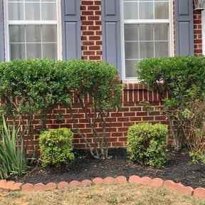 Bush Trimming by Campos lawn care reviewed on August 18, 2025