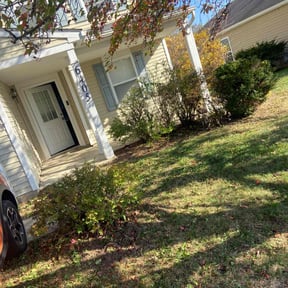 Bush Trimming by Lindsay’s lawncare reviewed on August 15, 2025