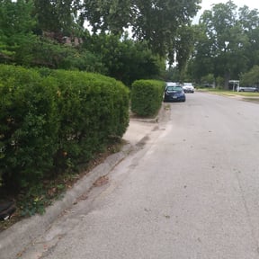 Bush Trimming by L&D Lawn Care Inc. reviewed on August 21, 2025